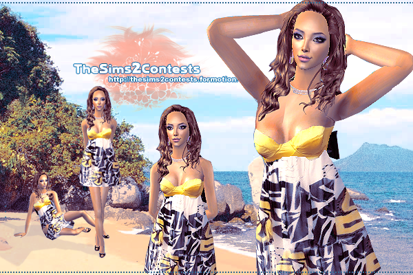 -The SIMS 2 Contests-