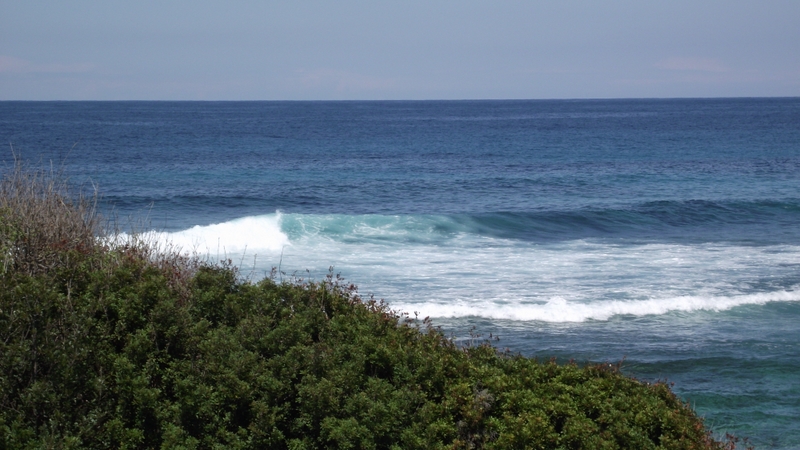 SUP sur bastia et ses alentours DSCF4097800x600