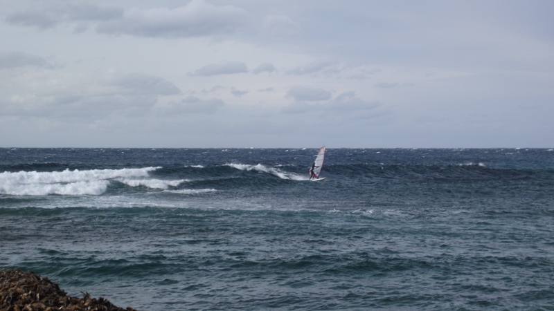 SUP sur bastia et ses alentours DSCF4170800x600