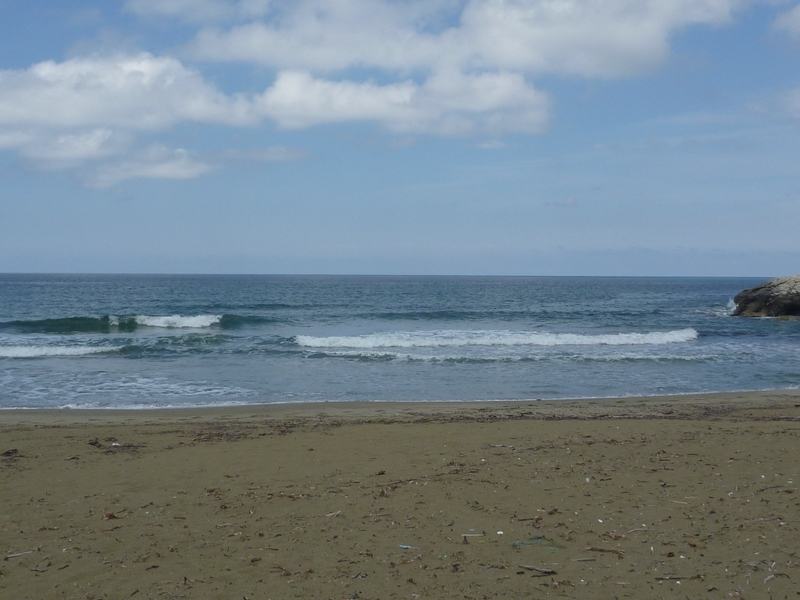 SUP sur bastia et ses alentours P1140100800x600