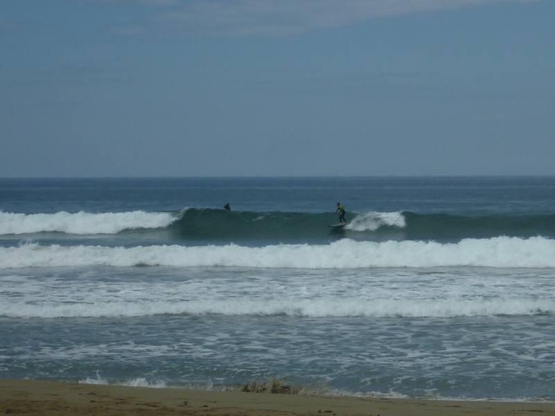 SUP sur bastia et ses alentours P1140133800x600