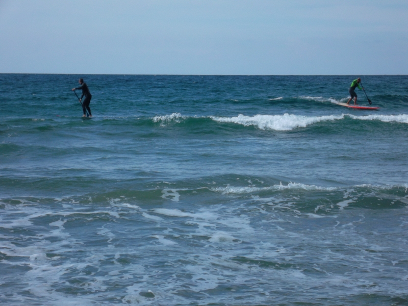 SUP sur bastia et ses alentours SAM_2604800x600