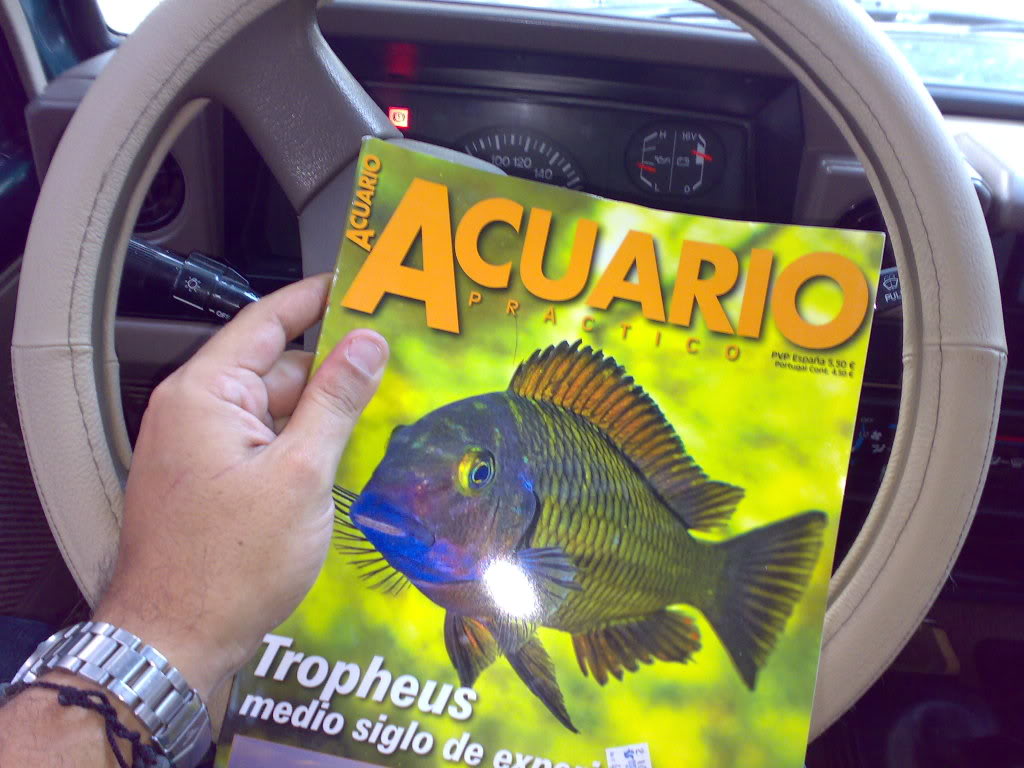 Artículo de Tropheus en ACUARIO PRÁCTICO!! - Página 3 121120093674