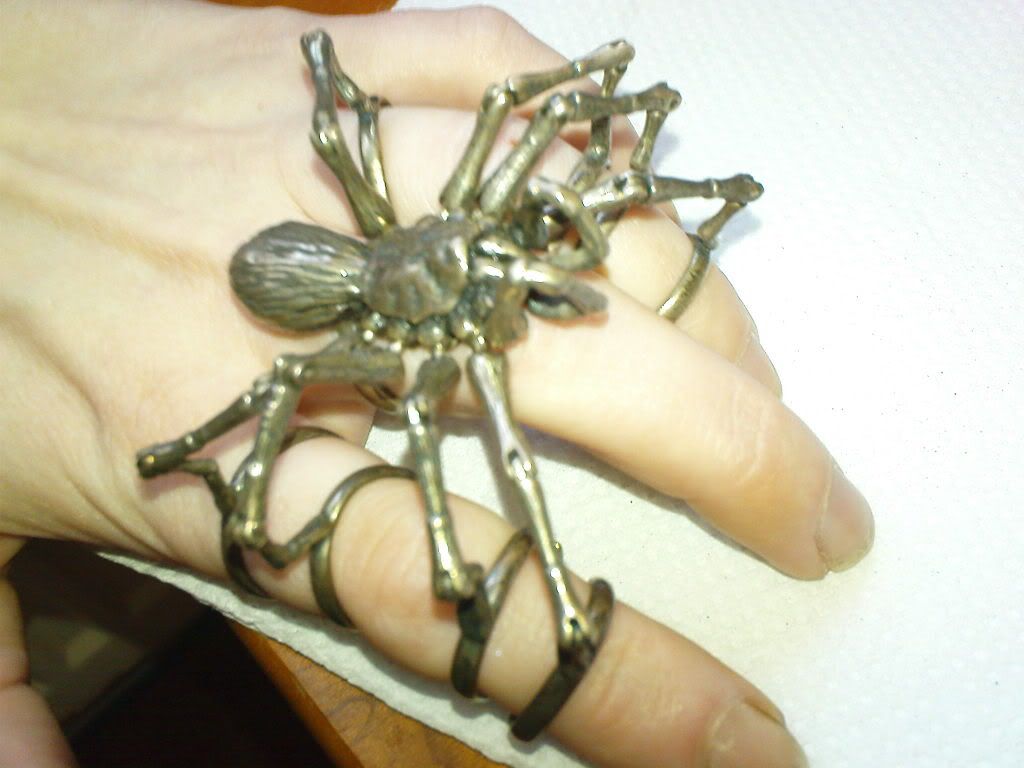 Tarantula Ring DSC03433