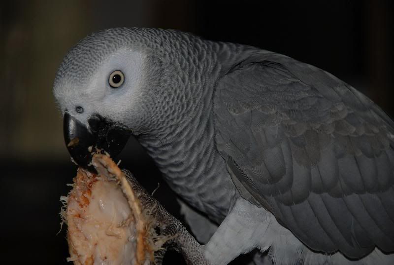 I love coconut. DSC_0003-2