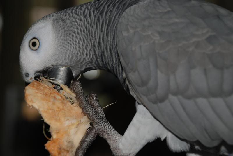 I love coconut. DSC_0004-2