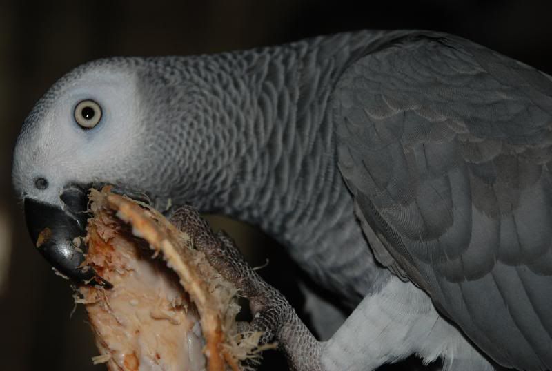 I love coconut. DSC_0005-2