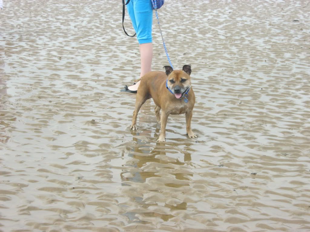 Kodi's first beach trip (pic heavy) 024