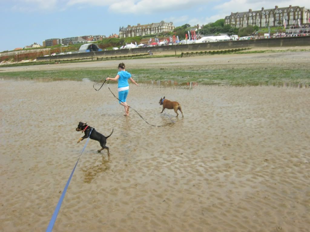 Kodi's first beach trip (pic heavy) 035