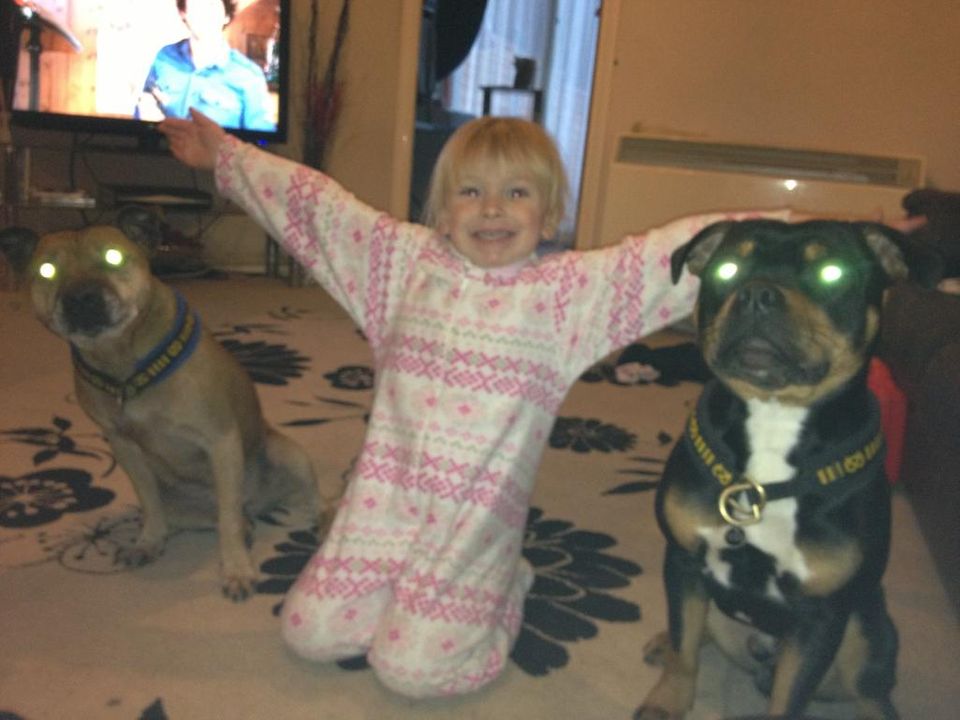 Staffie attacks 3yr old............... Image_zps28acb467