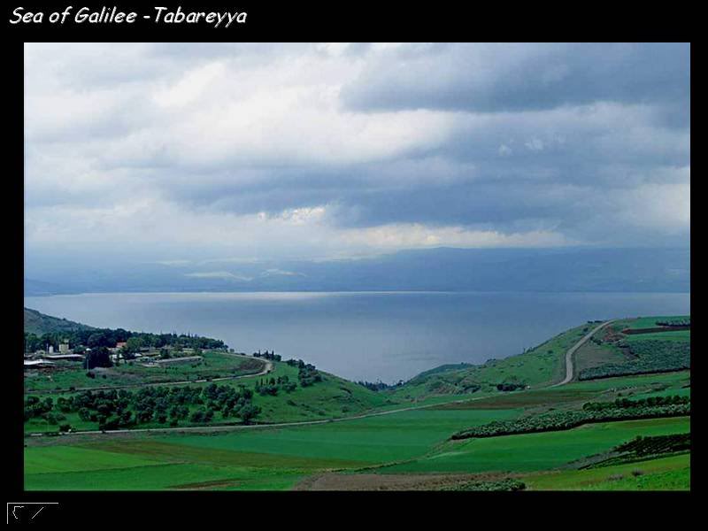 صور من فلسطين الحبيبة Edesc