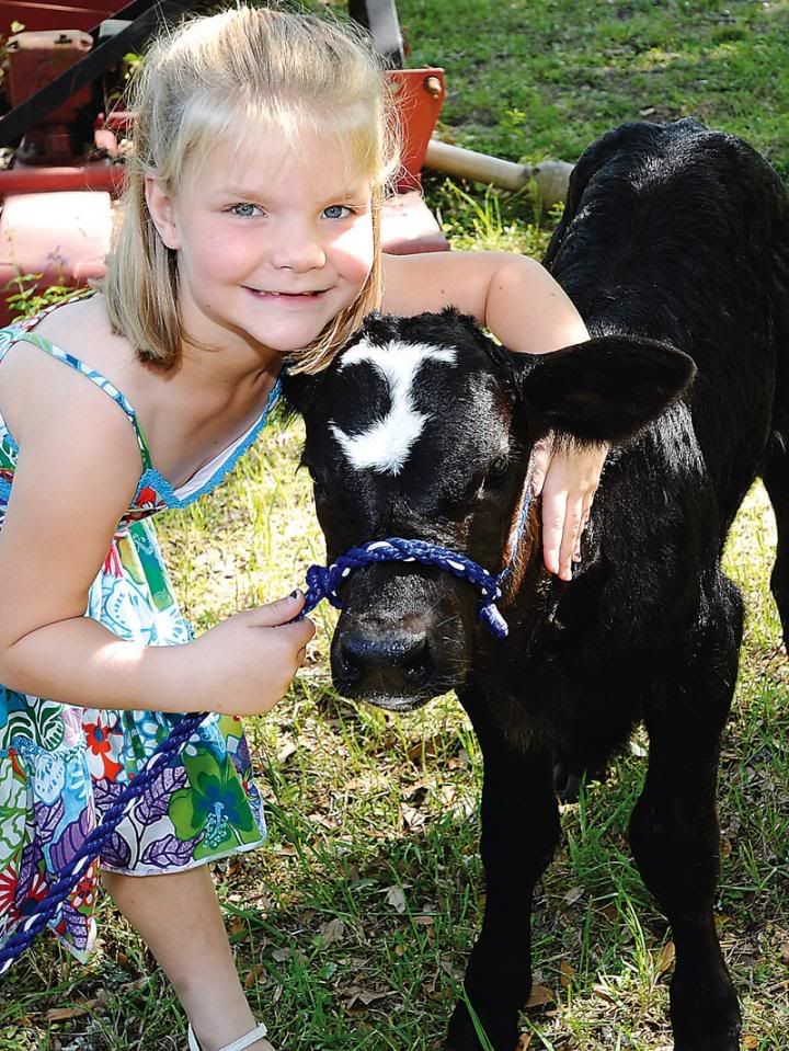 Girl gets answer to her prayer Jamies_Calf