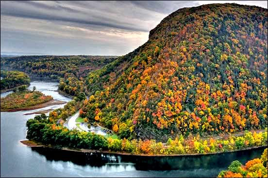 The Beauty of Fall Tree-mountain