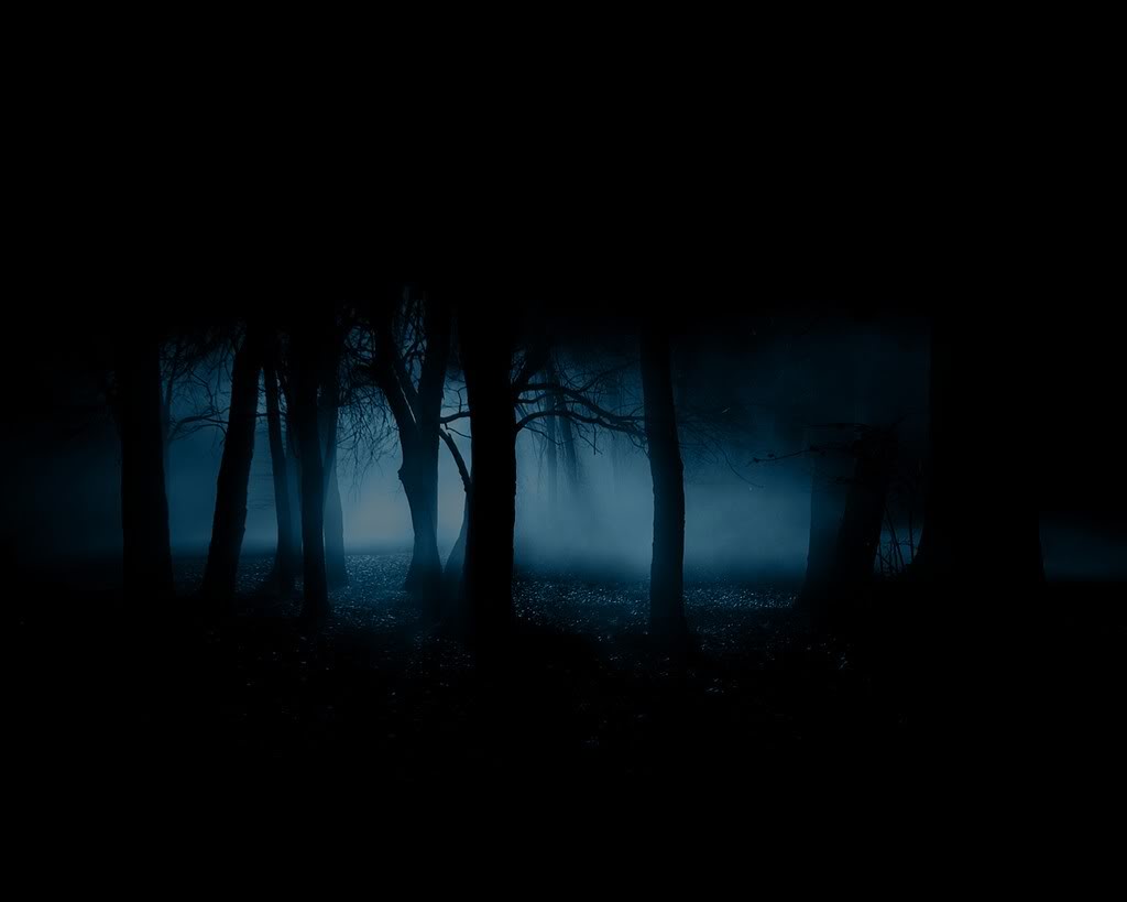 The dark forest Dark-Forest-35836