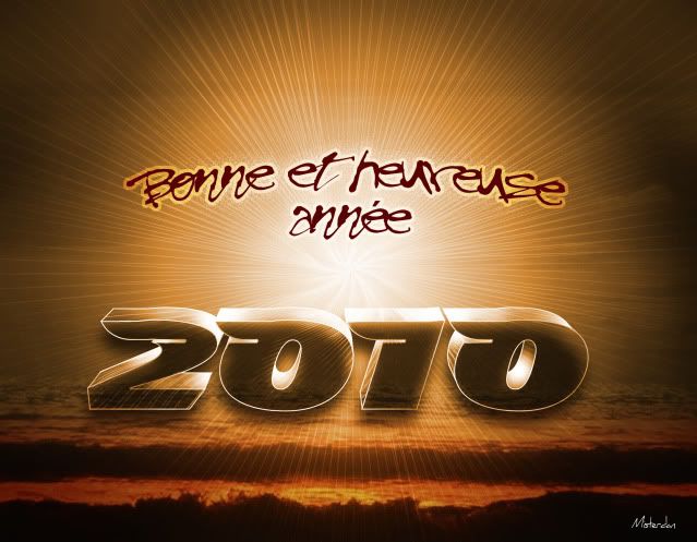 Bonne année a tous 2010