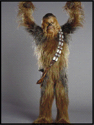 Contre les morpions, bâton !   [Recruté] Chewbacca