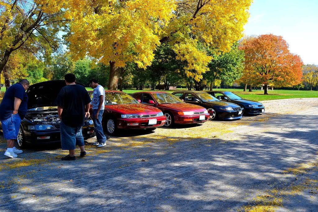 GLA LaBagh Woods Chicago meet (10/8/11)  DSC_0486