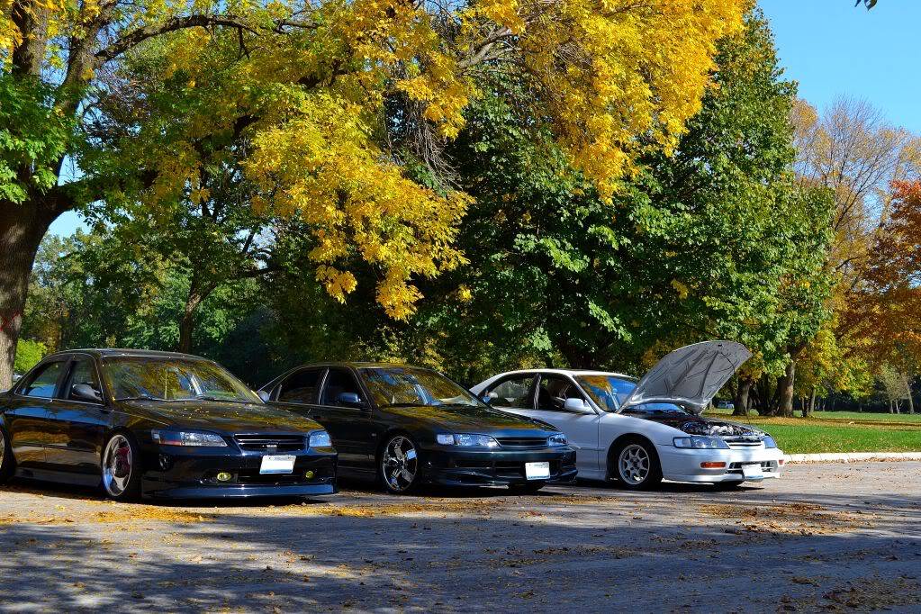 GLA LaBagh Woods Chicago meet (10/8/11)  DSC_0502