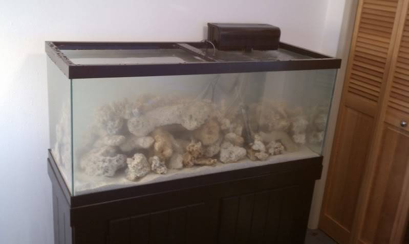 75 gallon tank build IMAG1217