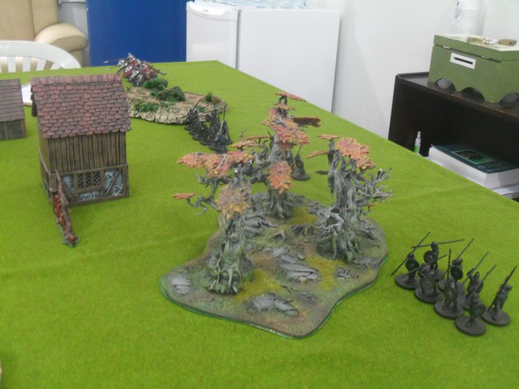 SAGA -Wargame Skirmish para a Era Viking SDC11972_zpsa33bbdb2