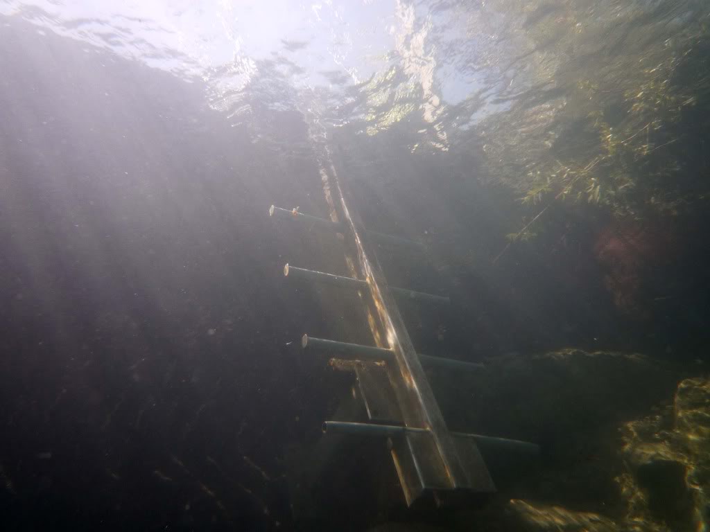 Photos presque oubliées d'une plongée MDP à Chamagnieu P1000576