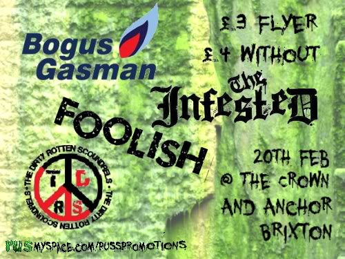 Bogus Gasman + The Infested + Foolish + More 20thinfested