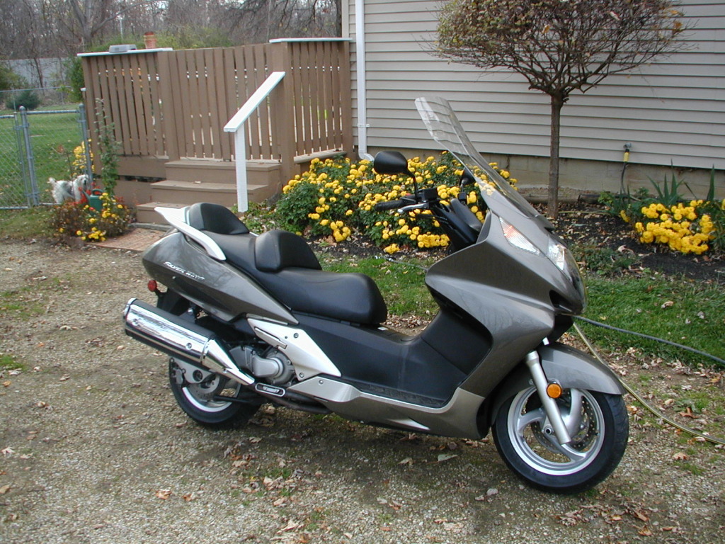 Introduction 2005Silverwing