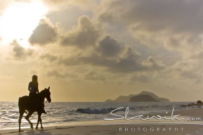 Konji na plai - Page 2 Araber_Seychellen908460-1
