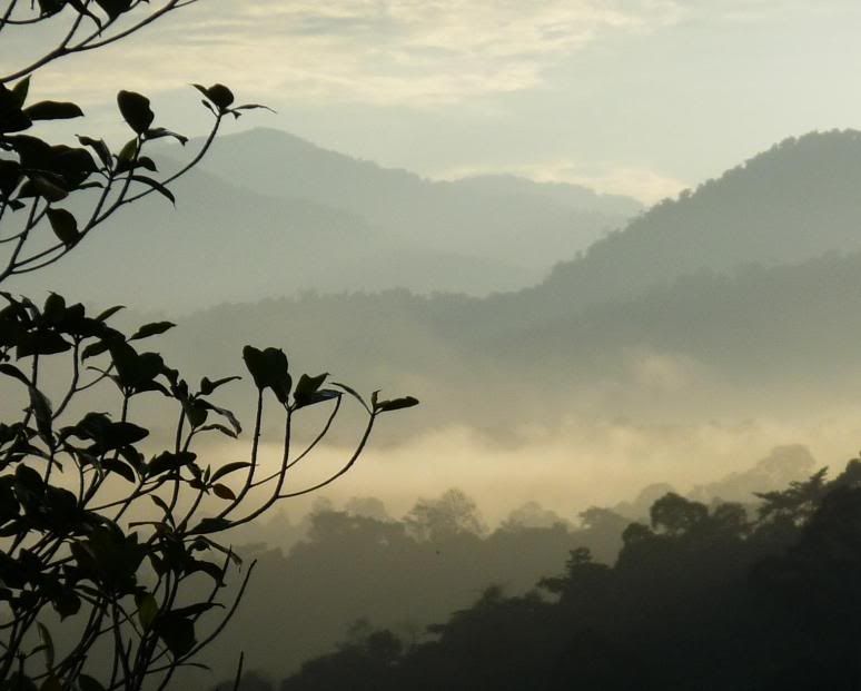 Bukit Tabur a.k.a 水晶山 P1000336