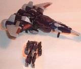 C.H.UG.s data base Th_Cyclonus