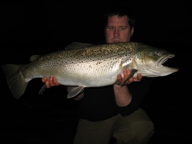 22lb 7oz trout caught IMG_1521