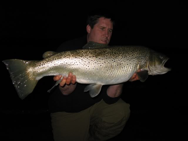 22lb 7oz trout caught IMG_1522