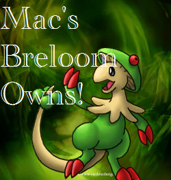 Monkey's Dojo Breloom1