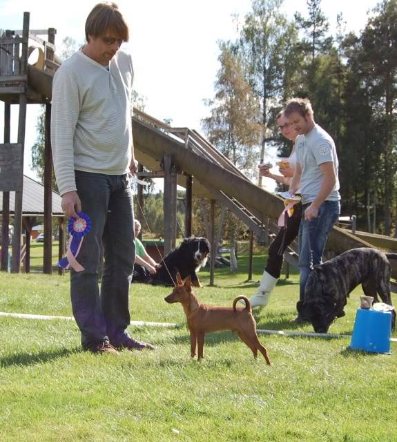 Valpeshow, Bø og sauherad hundeklubb DSC_00852rickbig2