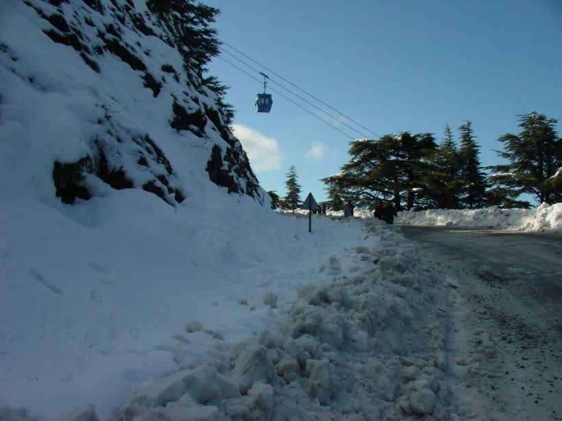 صور الثلوج في الجزائر A10