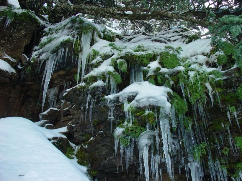 صور مناطق ثلجية من الجزائر ، مناطق سياحية ثلجية ، الجزائر   - صفحة 2 A17