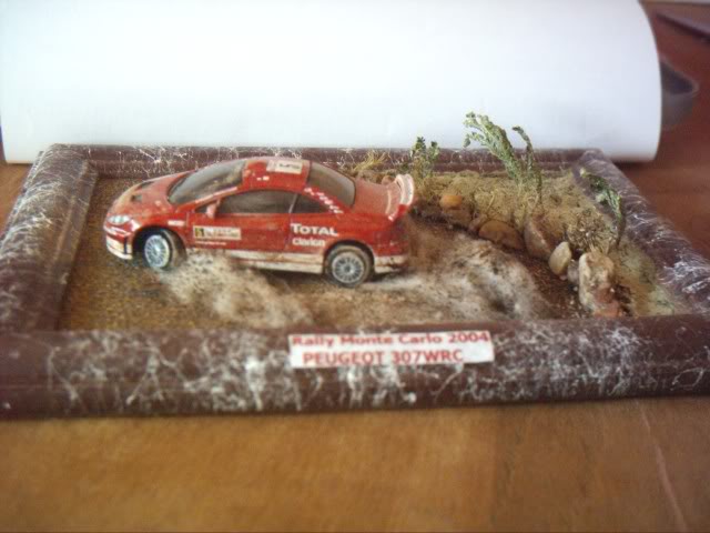 Dioramas WRC 1:64 Peugeot307WRC