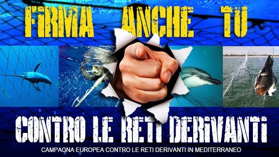 PETIZIONE--NO ALLE RETI DERIVANTI IN MEDITERRANEO!!! Firmaanchetu_zpsf7d684fb