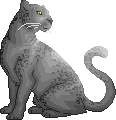 nieuw donatie pet en nieuwe stream pet MS_TPanther_A