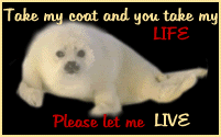 Stop Animal Abuse Banners Seal1