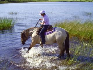 my missy lou and all her tricks LOVE this horse (even though sarah does not ) 005