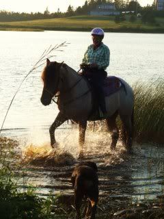 my missy lou and all her tricks LOVE this horse (even though sarah does not ) 6160_119345547807_516422807_2223595