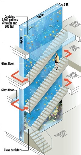 étude et débat sur l'aquarium récifal de 21000 litres de Thierry Henry  Aquariumthierryhenry2