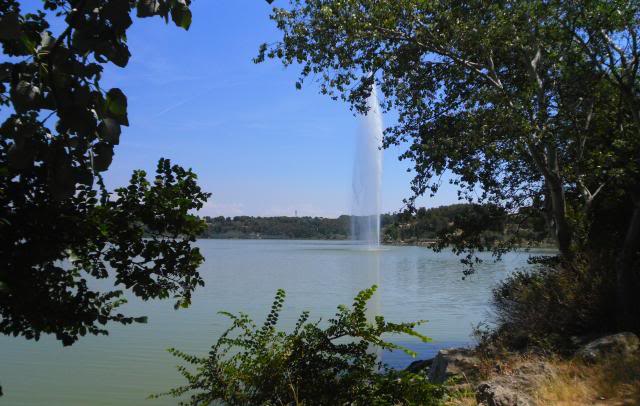 Stock liste des poissons d'eau douce de Jardiland Istres (sur place)   Etangdeistres1