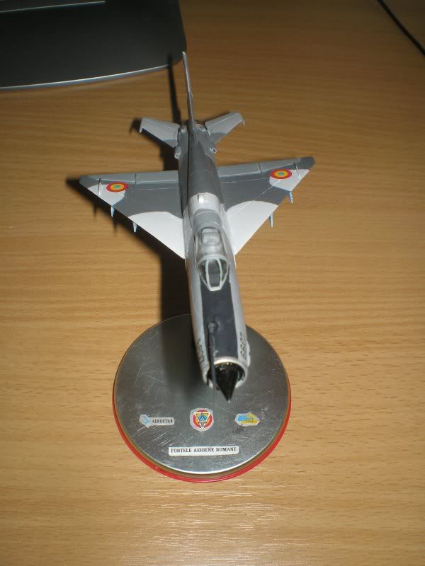 Modele de avioane militare - 2009 P7203111