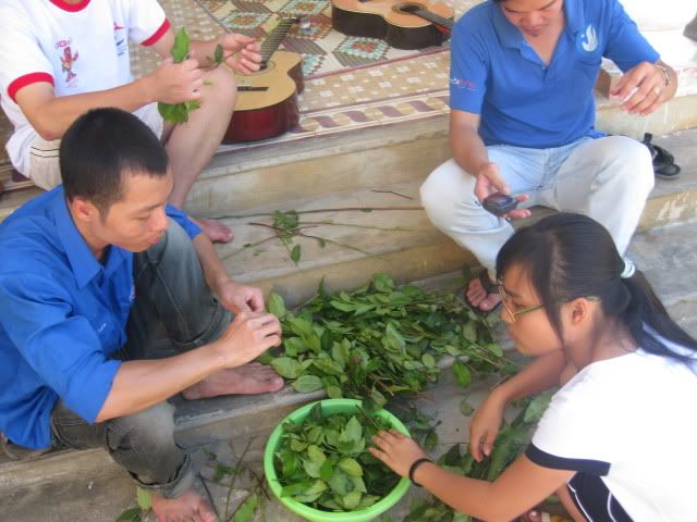 đây là một số ảnh ngày trước đi mùa hè xanh ^^! IMG_0864