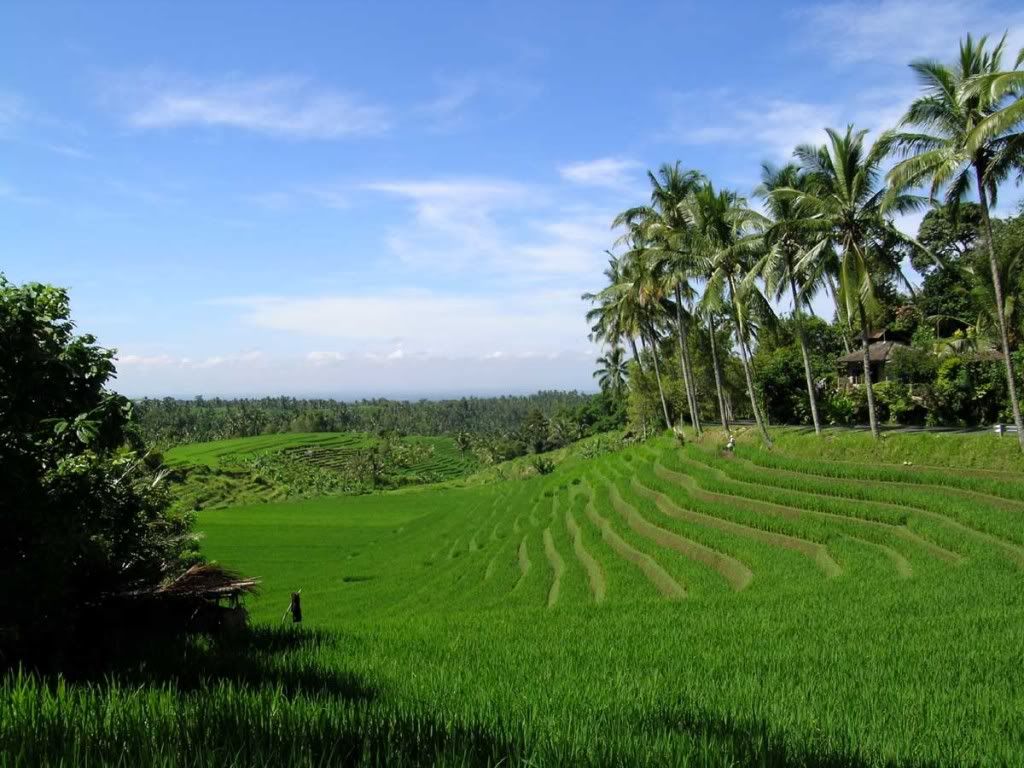 back to nature Bali-28