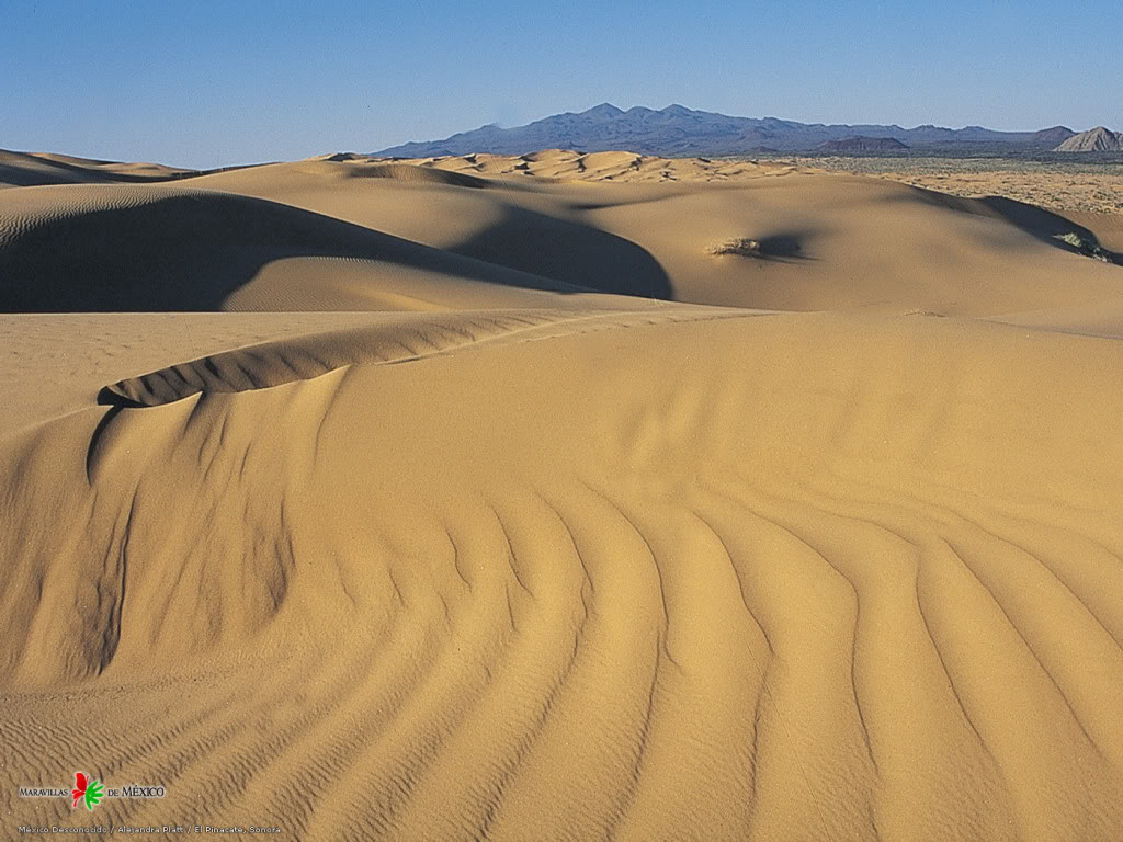 Mxico!!! ElPinacate