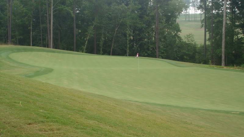 Lonnie Poole Golf Course at North Carolina State University, Arnold Palmer 045