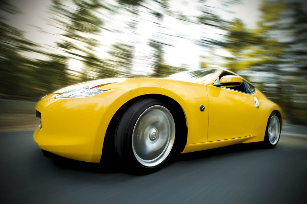 Joey, in the spring we need to find a spot to do a photo shoot like this... Yellow